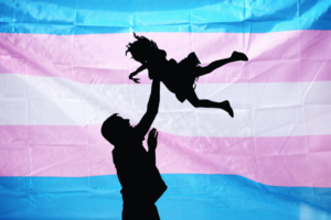 casa de muñecas sofia talbot