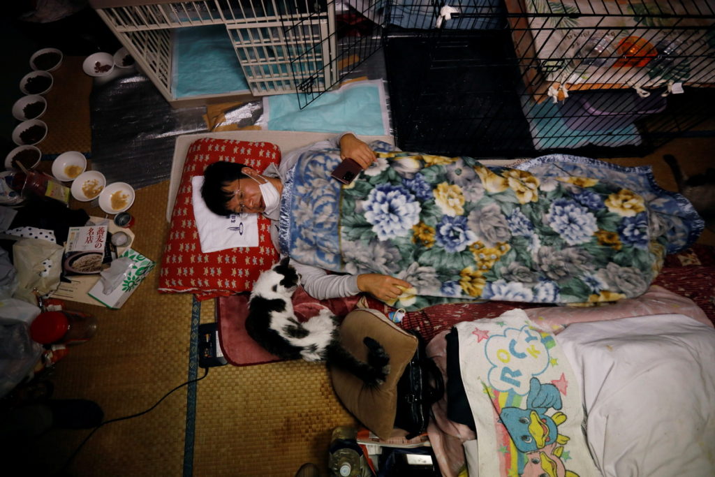 Sakae Kato salva gatitos en Fukushima
