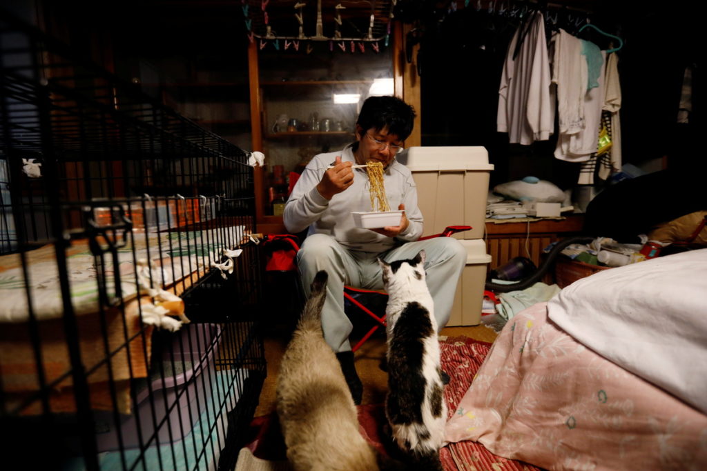 Sakae Kato salva gatitos en Fukushima